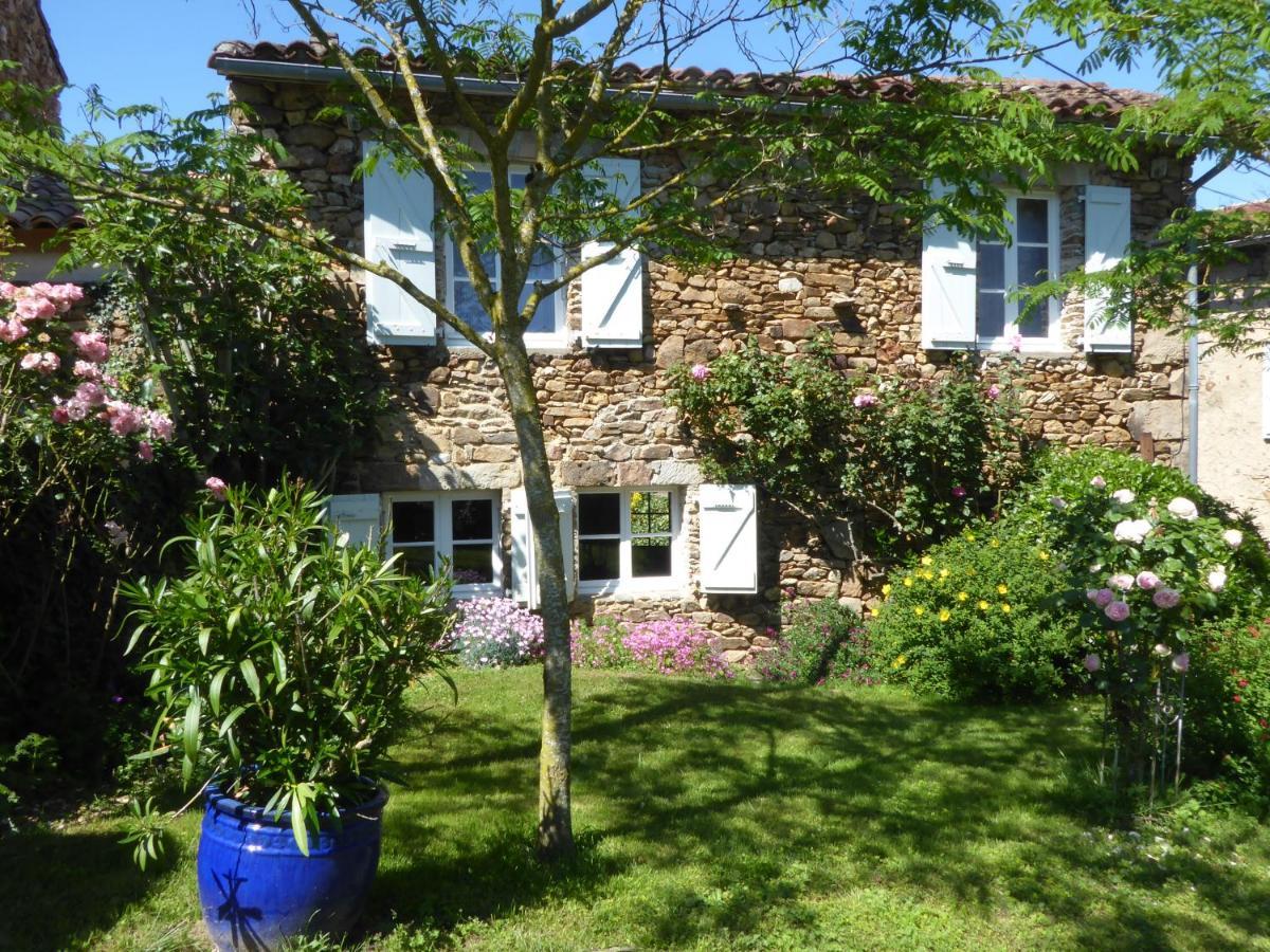 La Basserie Bed & Breakfast Laguepie